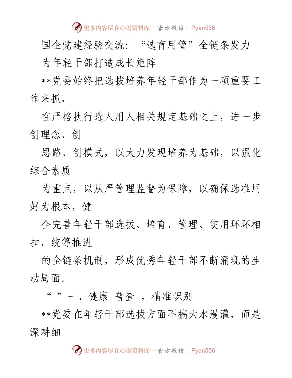 [发言] 国企党建经验交流 - 全链条机制下的年轻干部选拔与培养.docx_第1页