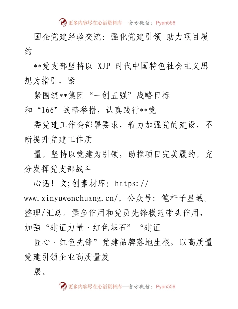 [发言] 国企党建经验交流会 - 强化党建引领，助力项目履约的实践与成效.docx_第1页