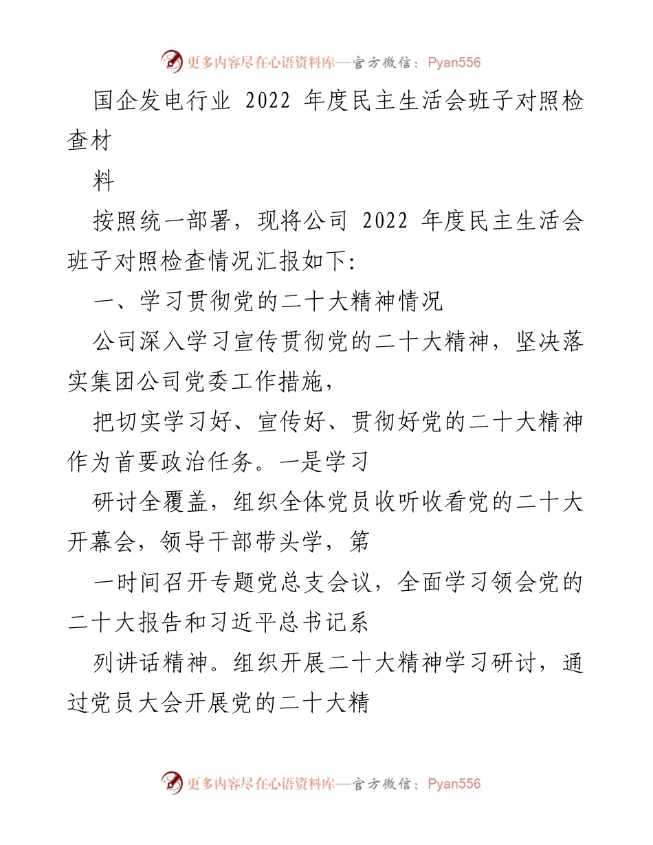 [发言] 国企发电行业年度民主生活会 - 2022年度民主生活会班子对照检查汇报.docx_第1页