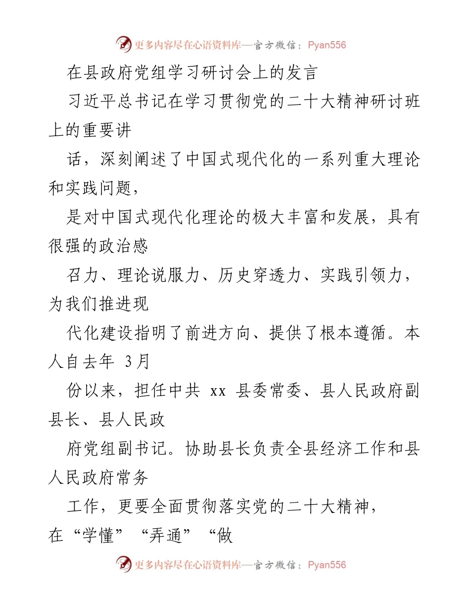 [发言] 县政府党组学习研讨会 - 深入学习贯彻党的二十大精神推动现代化建设.docx_第1页