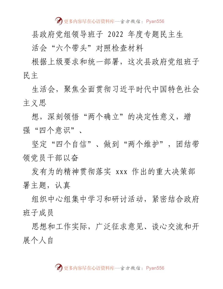 [发言] 县政府党组民主生活会 - 2022年度县政府党组民主生活会对照检查材料总结.docx_第1页