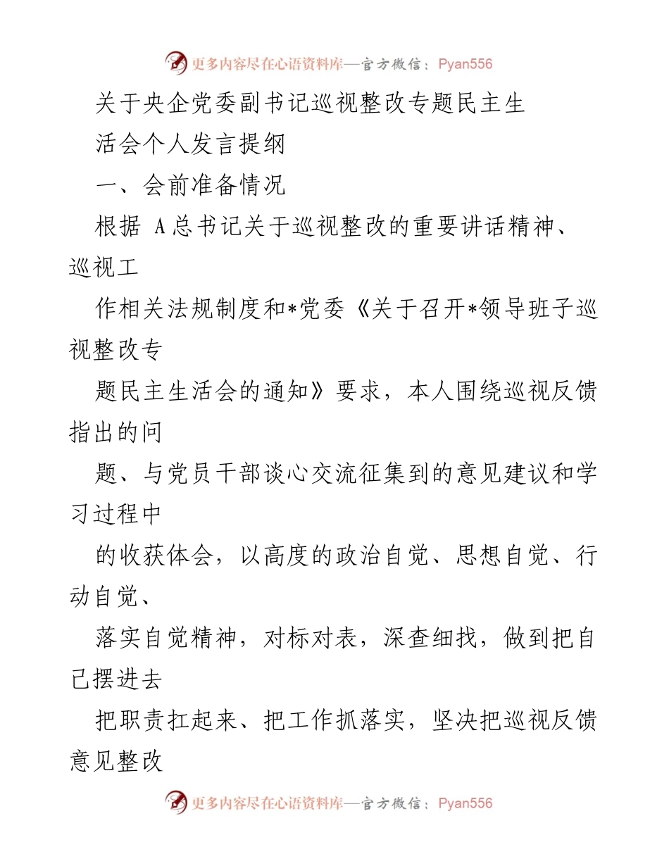[发言] 央企党委副书记巡视整改专题民主生活会 - 个人发言提纲与整改措施总结.docx_第1页