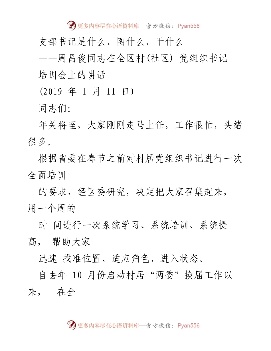 [发言] 培训会 - 村党组织书记的角色与责任.docx_第1页