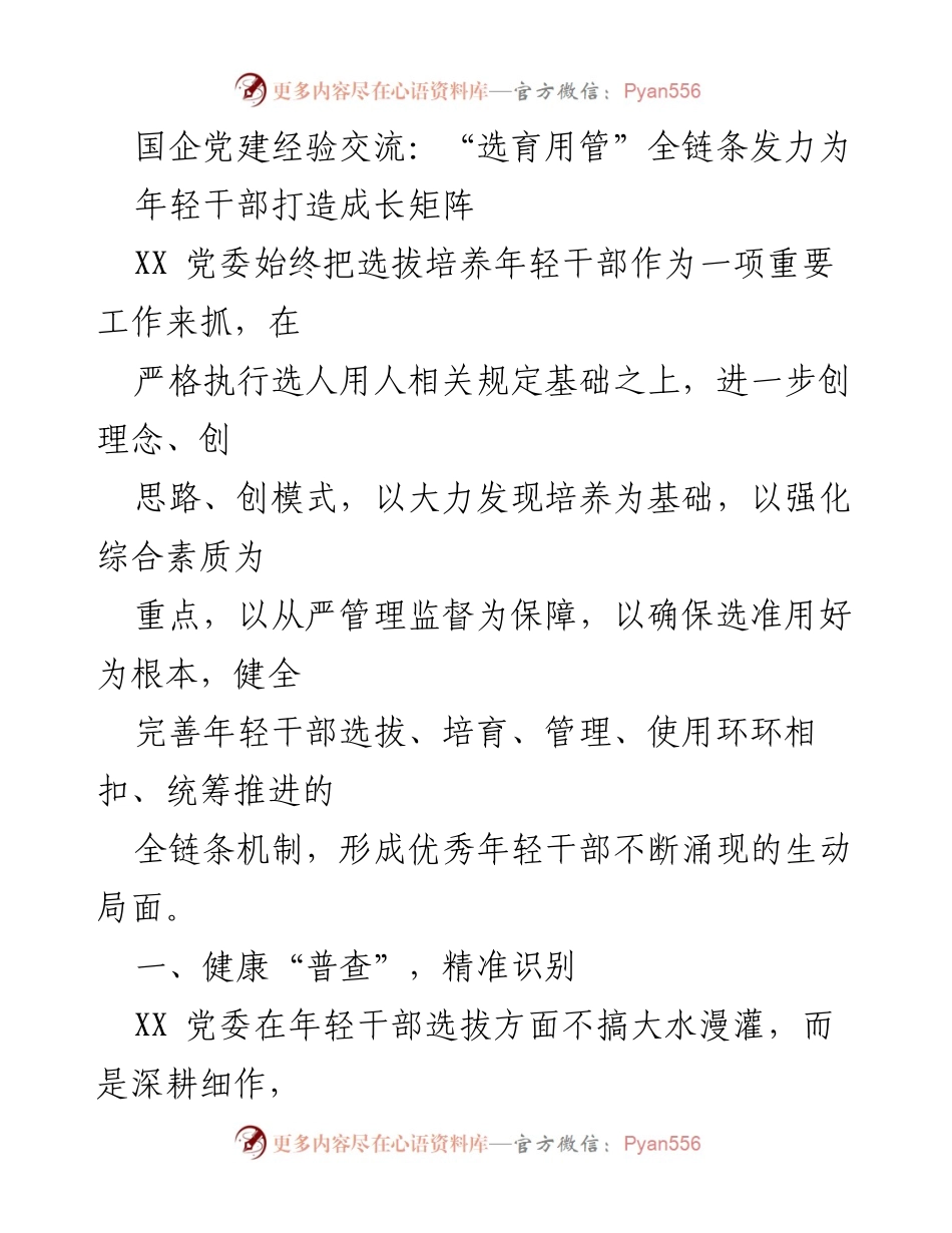 [发言] 国企党建经验交流 - “选育用管”全链条助力年轻干部成长.docx_第1页