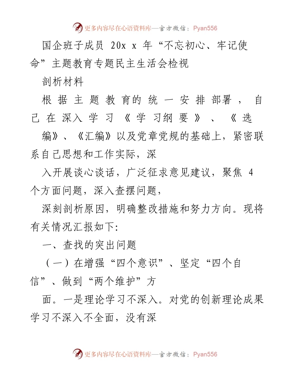 [发言] 国企班子成员“不忘初心、牢记使命”主题教育专题民主生活会 - “不忘初心，牢记使命”主题教育民主生活会检视与整改措施分析.docx_第1页