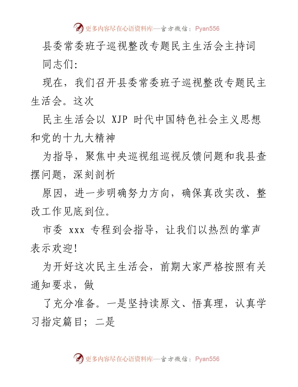 [发言] 县委常委班子巡视整改专题民主生活会 - 深入剖析问题，确保整改见效.docx_第1页
