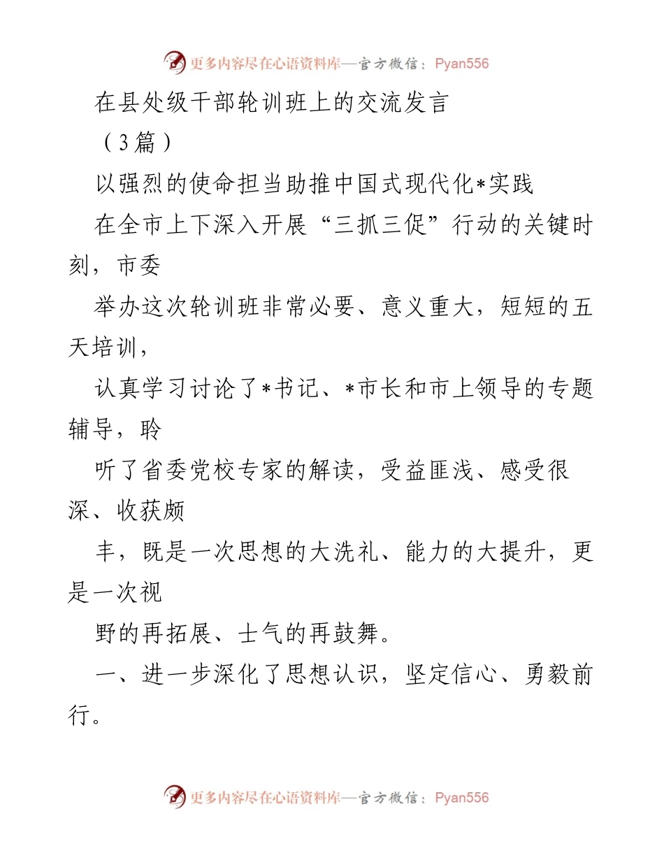 [发言] 县处级干部轮训班 - 使命担当与中国式现代化的实践推进.docx_第1页