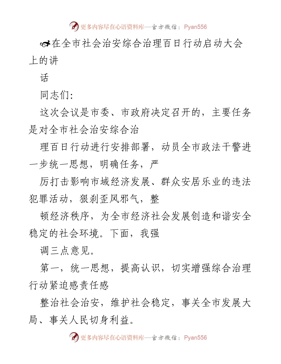 [发言] 启动大会 - 全市社会治安综合治理百日行动的重要性与任务部署.docx_第1页