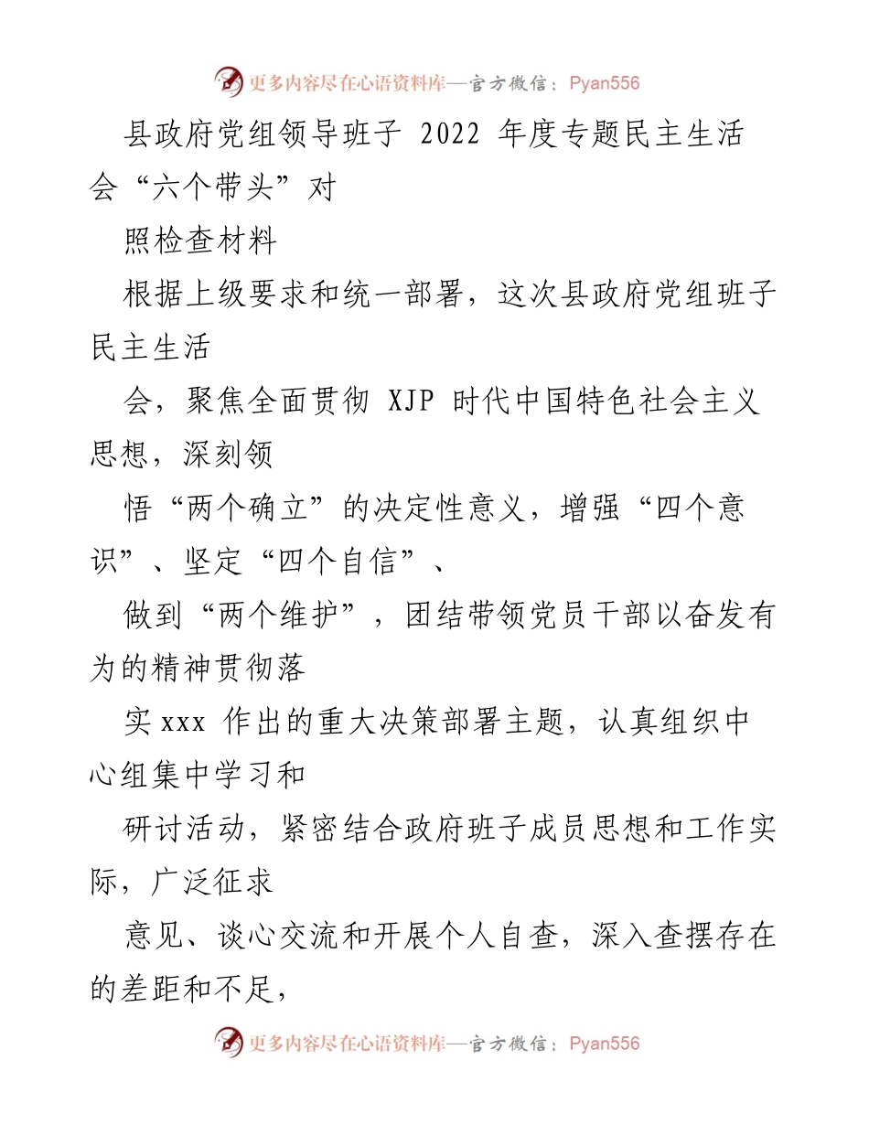 [发言] 县政府党组专题民主生活会 - 2022年度民主生活会对照检查材料总结.docx_第1页
