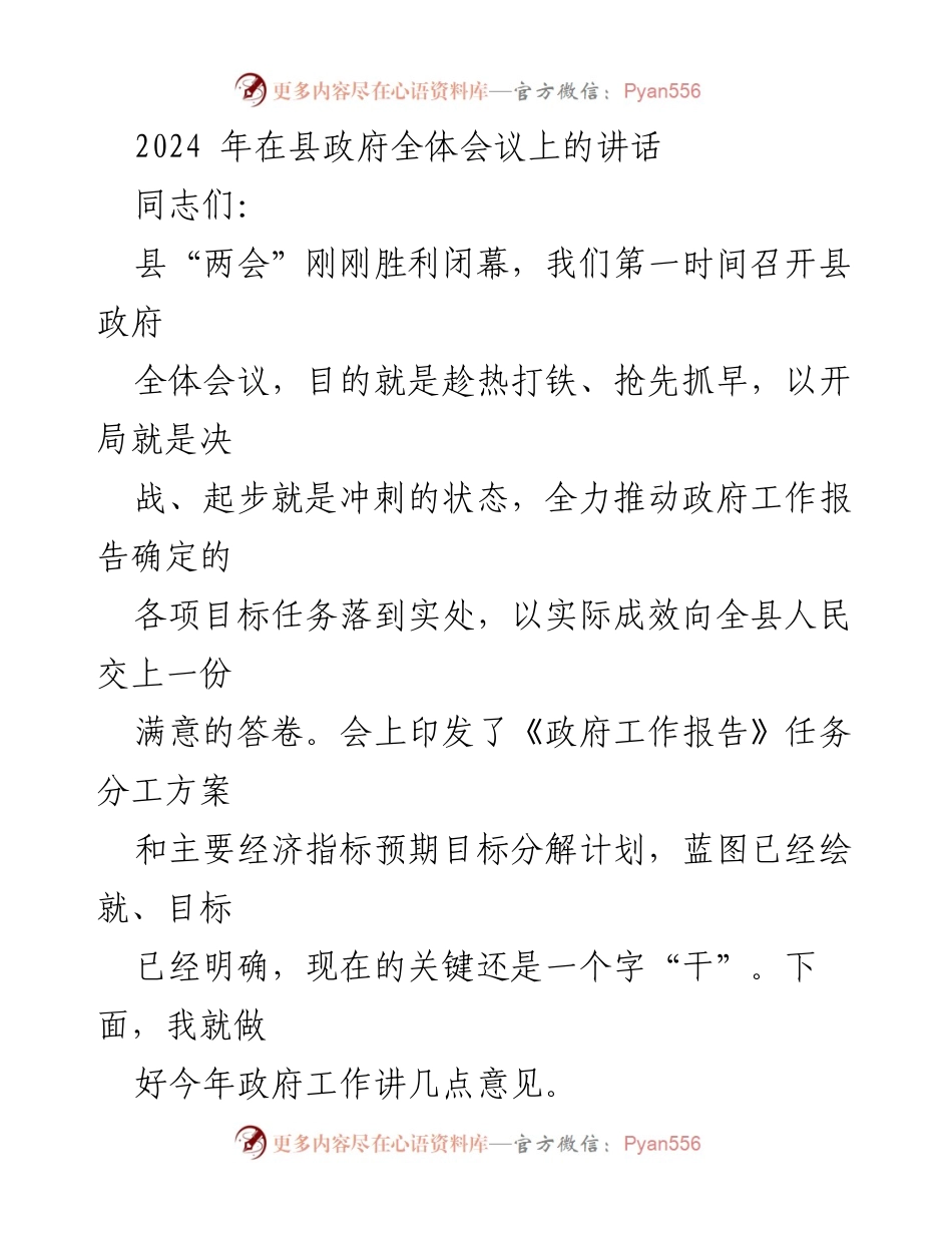 [发言] 县政府全体会议 - 全力推动政府工作落实，确保实现年度目标.docx_第1页