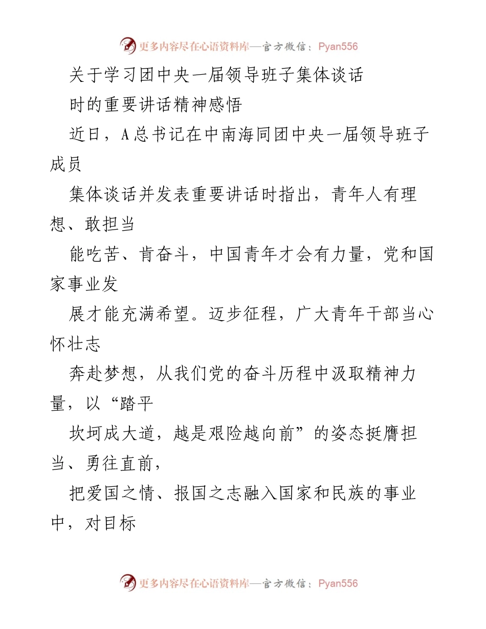 [发言] 团中央领导班子集体谈话 - 青年干部的责任与担当：践行总书记重要讲话精神.docx_第1页