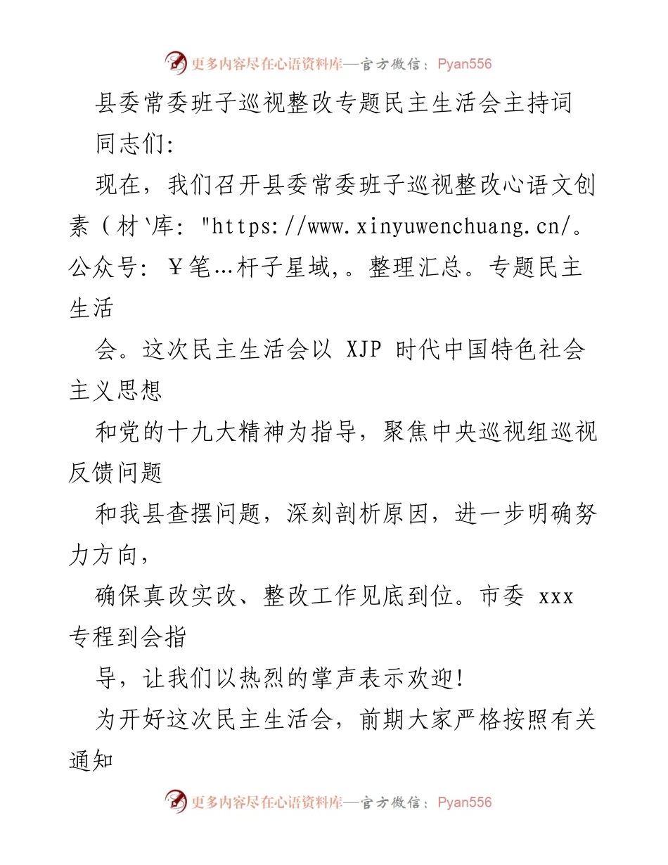 [发言] 县委常委班子巡视整改专题民主生活会 - 深入剖析问题，推动整改落实.docx_第1页