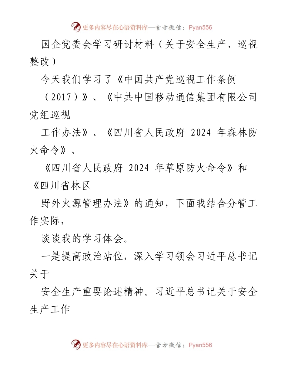 [发言] 国企党委会 - 加强安全生产意识，落实巡视整改要求.docx_第1页
