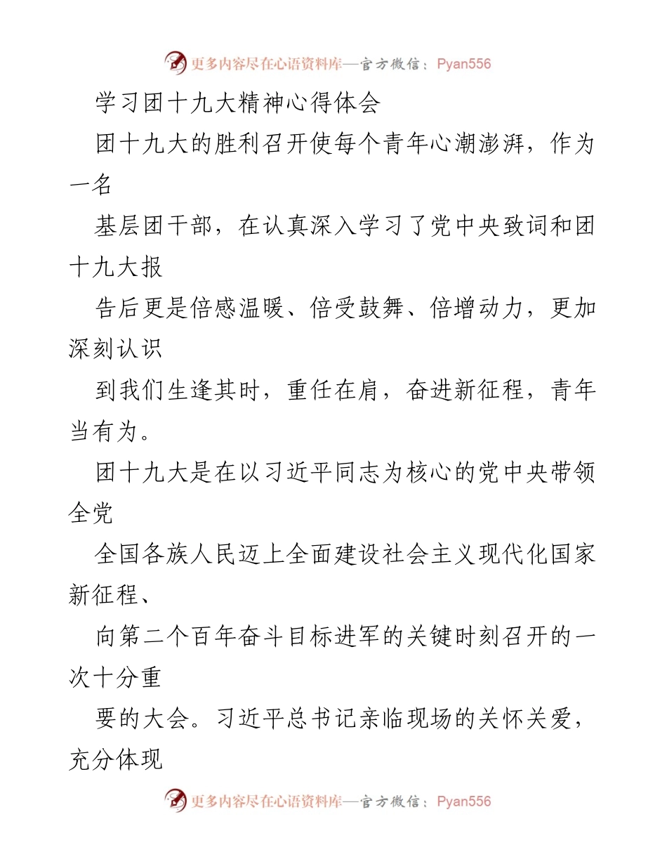 [发言] 团十九大精神学习会 - 深刻领悟团十九大精神，坚定青年使命担当.docx_第1页