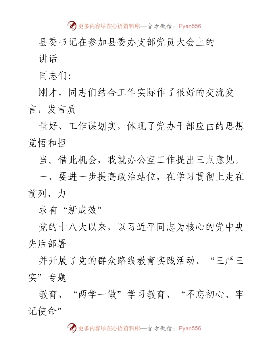 [发言] 县委办支部党员大会 - 提高政治站位与工作标准，推动主题教育新成效.docx_第1页