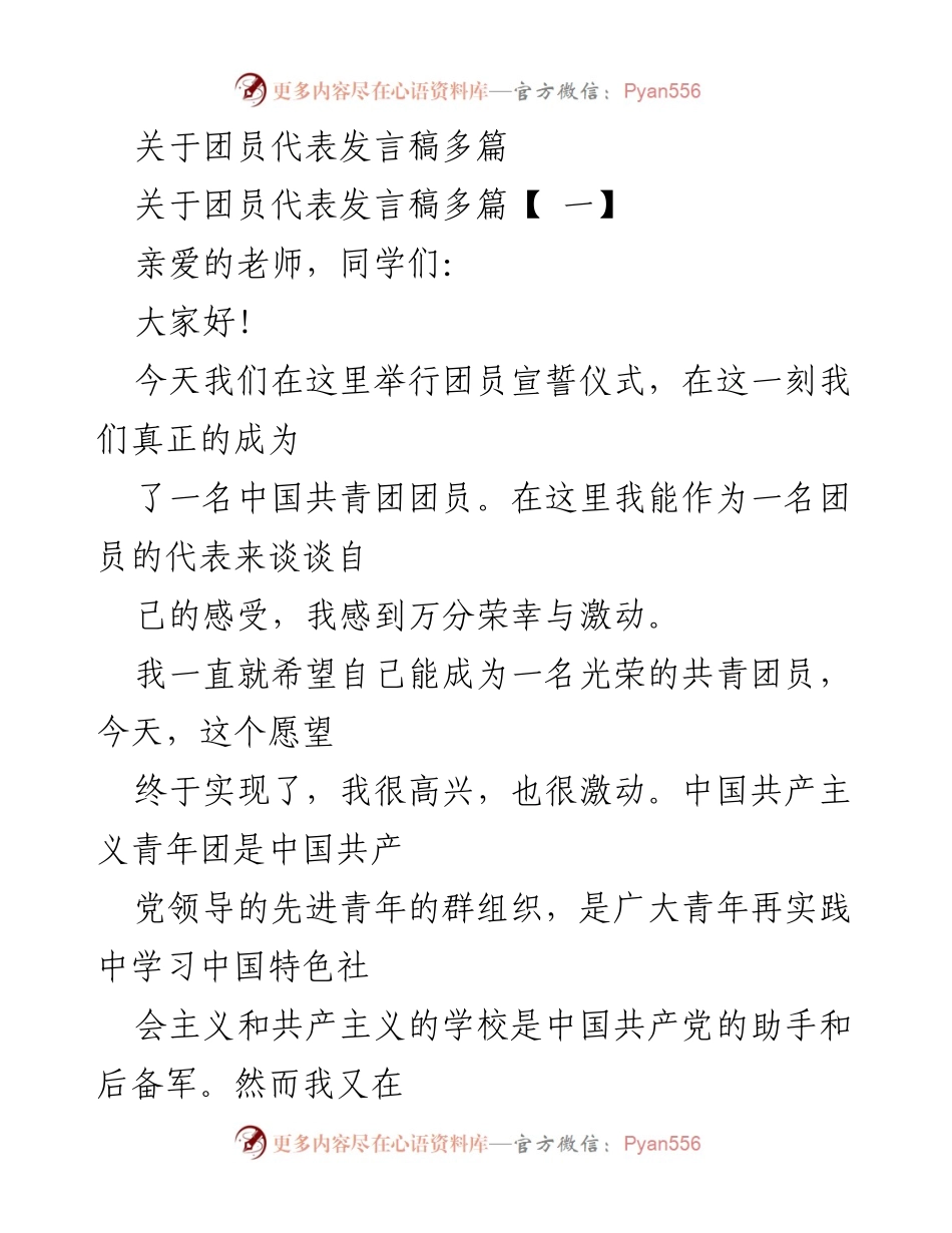 [发言] 团员宣誓仪式 - 团员代表发言：追寻理想与责任.docx_第1页