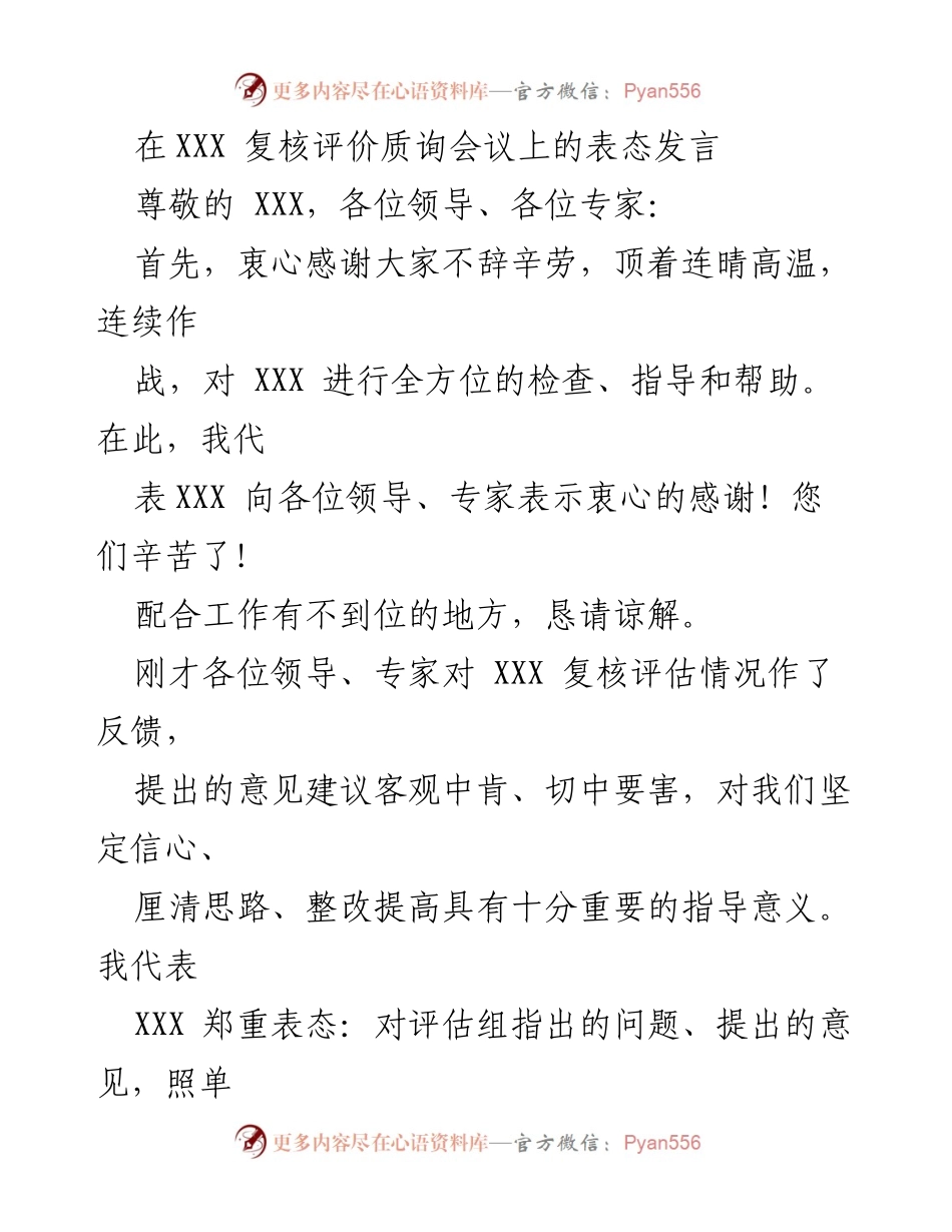[发言] 复核评价质询会议 - 坚决落实评估整改，推动高质量发展.docx_第1页