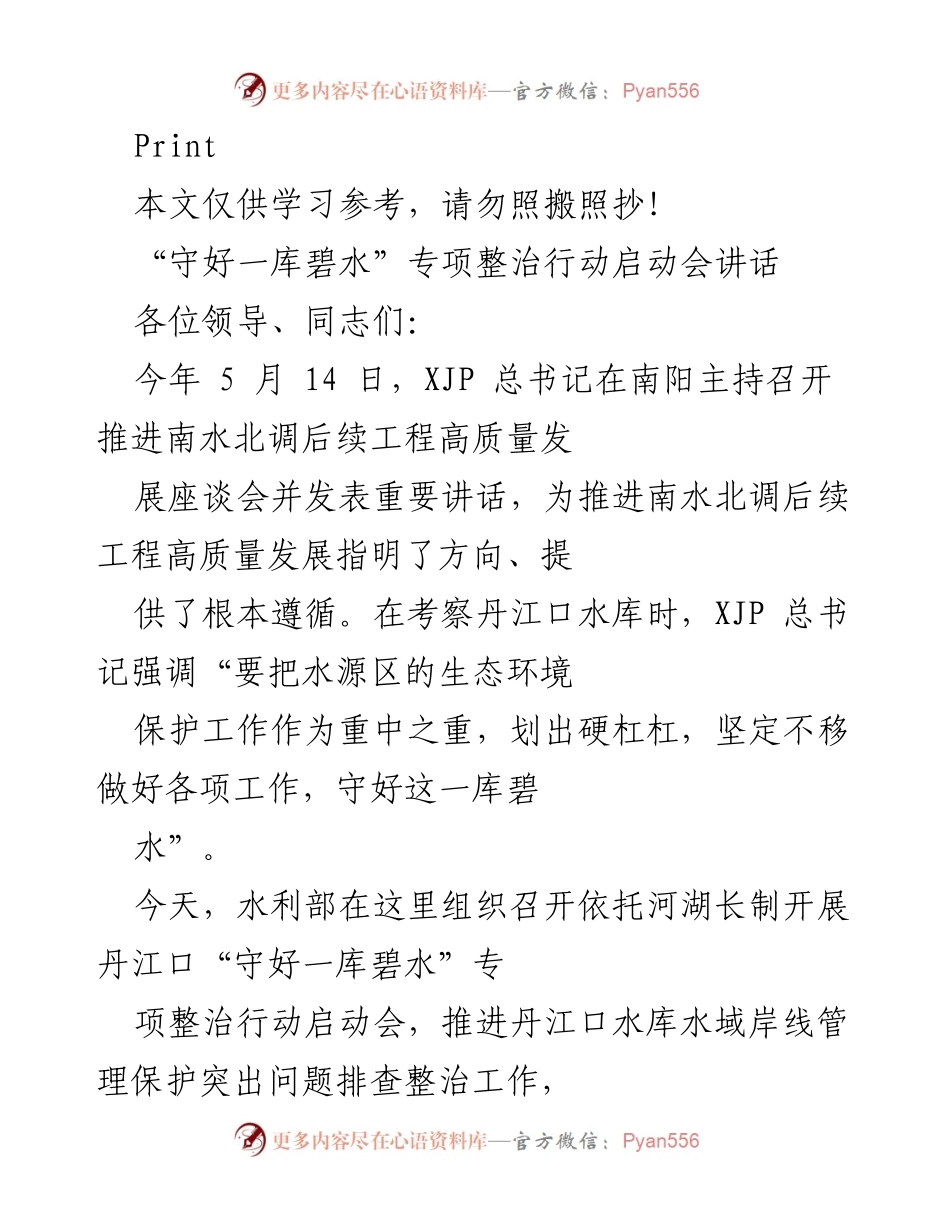 [发言] 启动会 - “守好一库碧水”专项整治行动的重要性与实施方案.docx_第1页