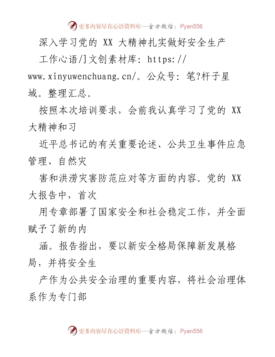 [发言] 培训会议 - 深入学习党的 XX 大精神，扎实推进安全生产工作.docx_第1页