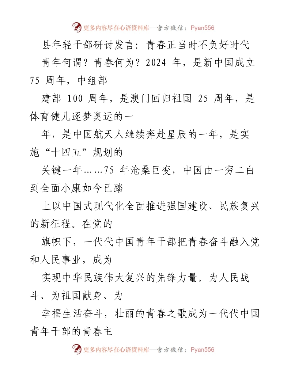 [发言] 县年轻干部研讨会 - 青春正当时：青年干部的使命与担当.docx_第1页