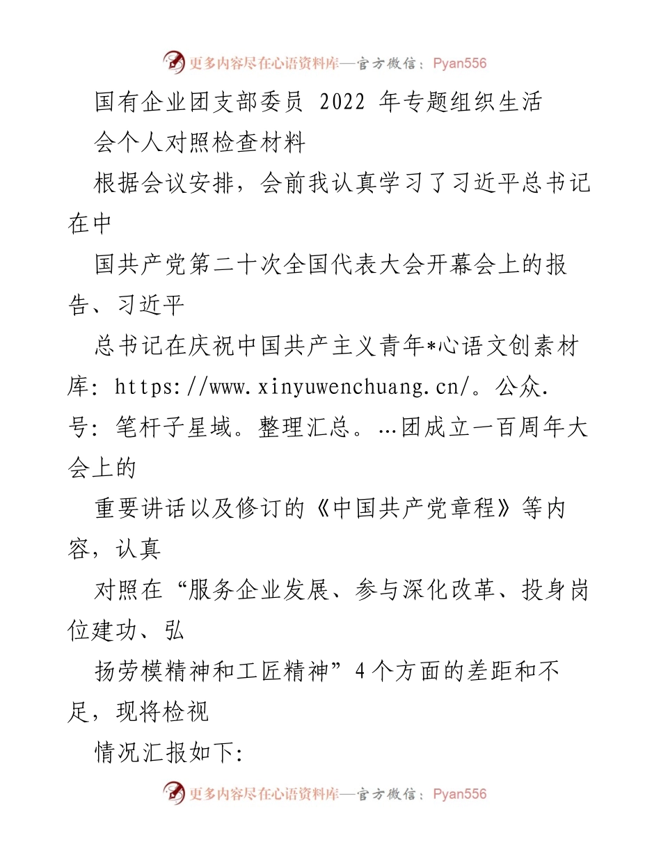 [发言] 国有企业团支部专题组织生活会 - 国有企业团支部委员个人对照检查材料分析.docx_第1页