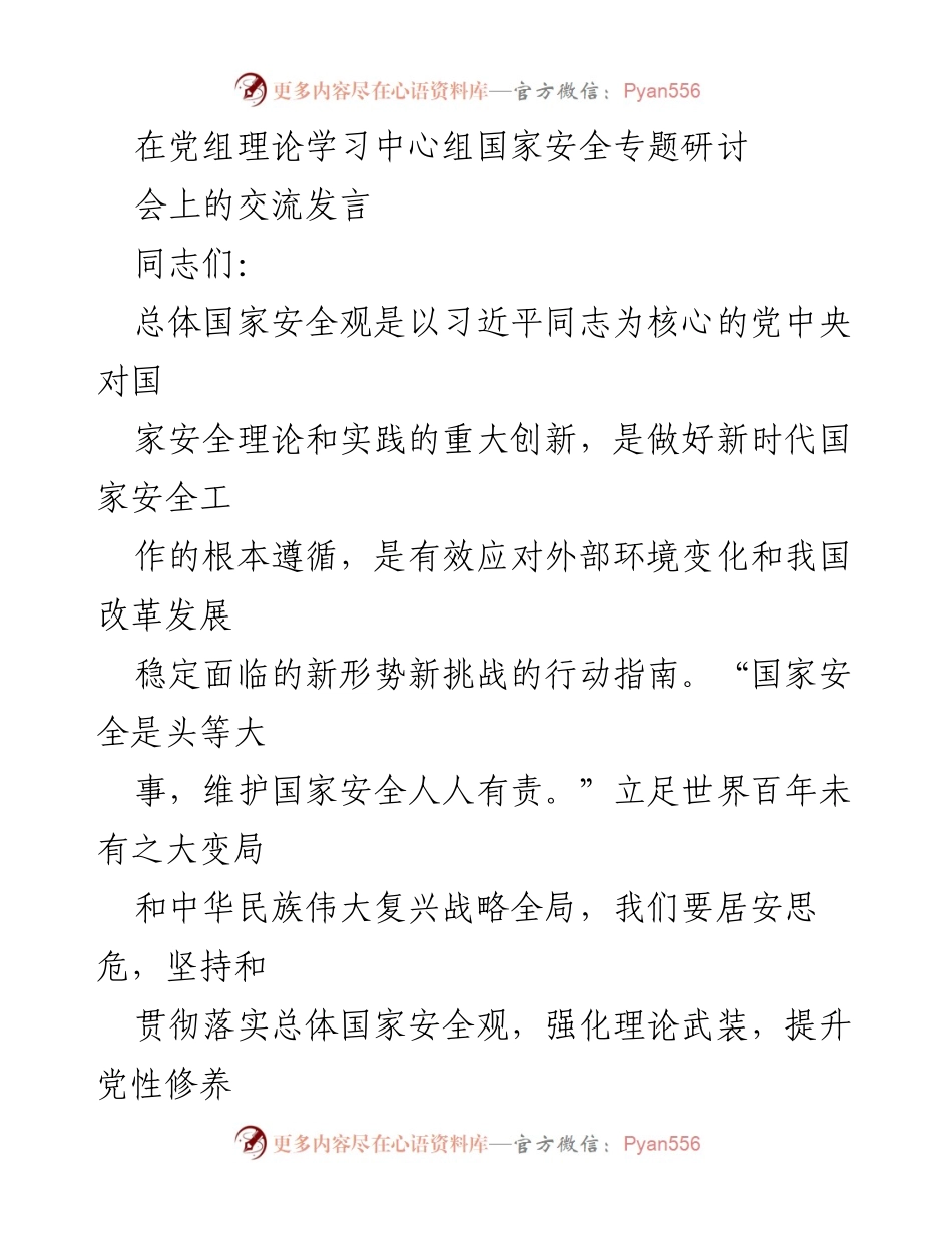 [发言] 国家安全专题研讨会 - 坚持总体国家安全观，维护国家安全的责任与行动_2.docx_第1页