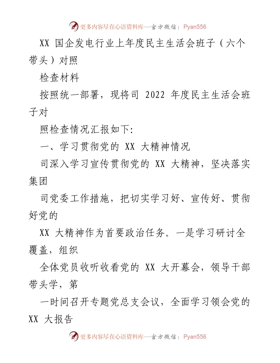 [发言] 国企发电行业民主生活会 - 2022年度民主生活会班子对照检查情况汇报.docx_第1页