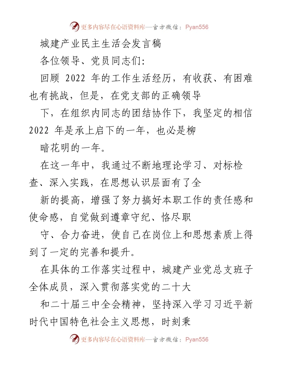 [发言] 城建产业民主生活会 - 2022年度工作总结与党建实践分享.docx_第1页
