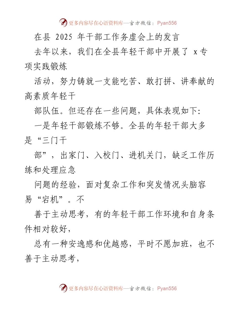 [发言] 县2025年干部工作务虚会 - 加强年轻干部实践锻炼，提升能力与素质.docx_第1页