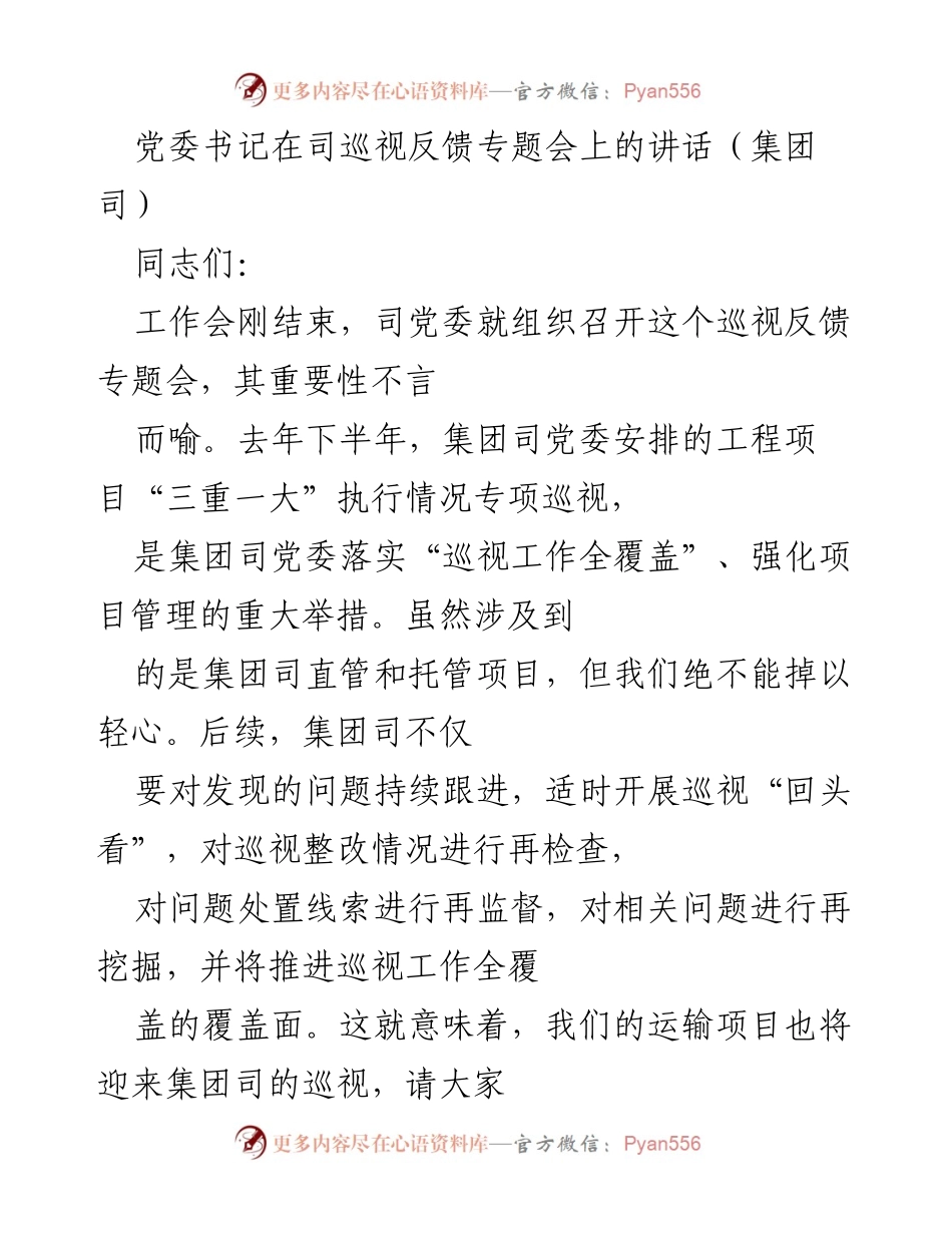 [发言] 司巡视反馈专题会 - 强化巡视整改，提升项目管理水平.docx_第1页