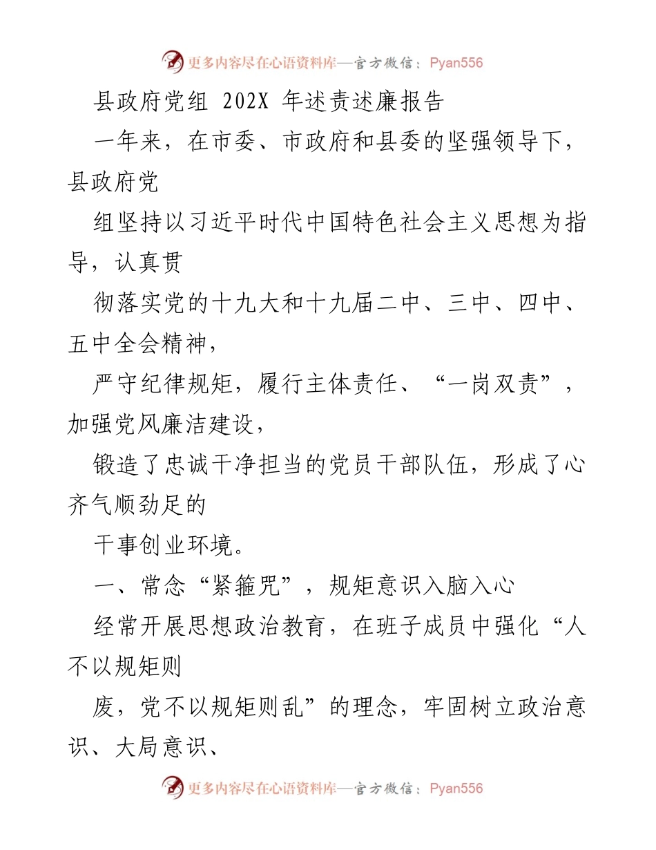 [发言] 县政府党组年度会议 - 县政府党组202X年述责述廉报告.docx_第1页