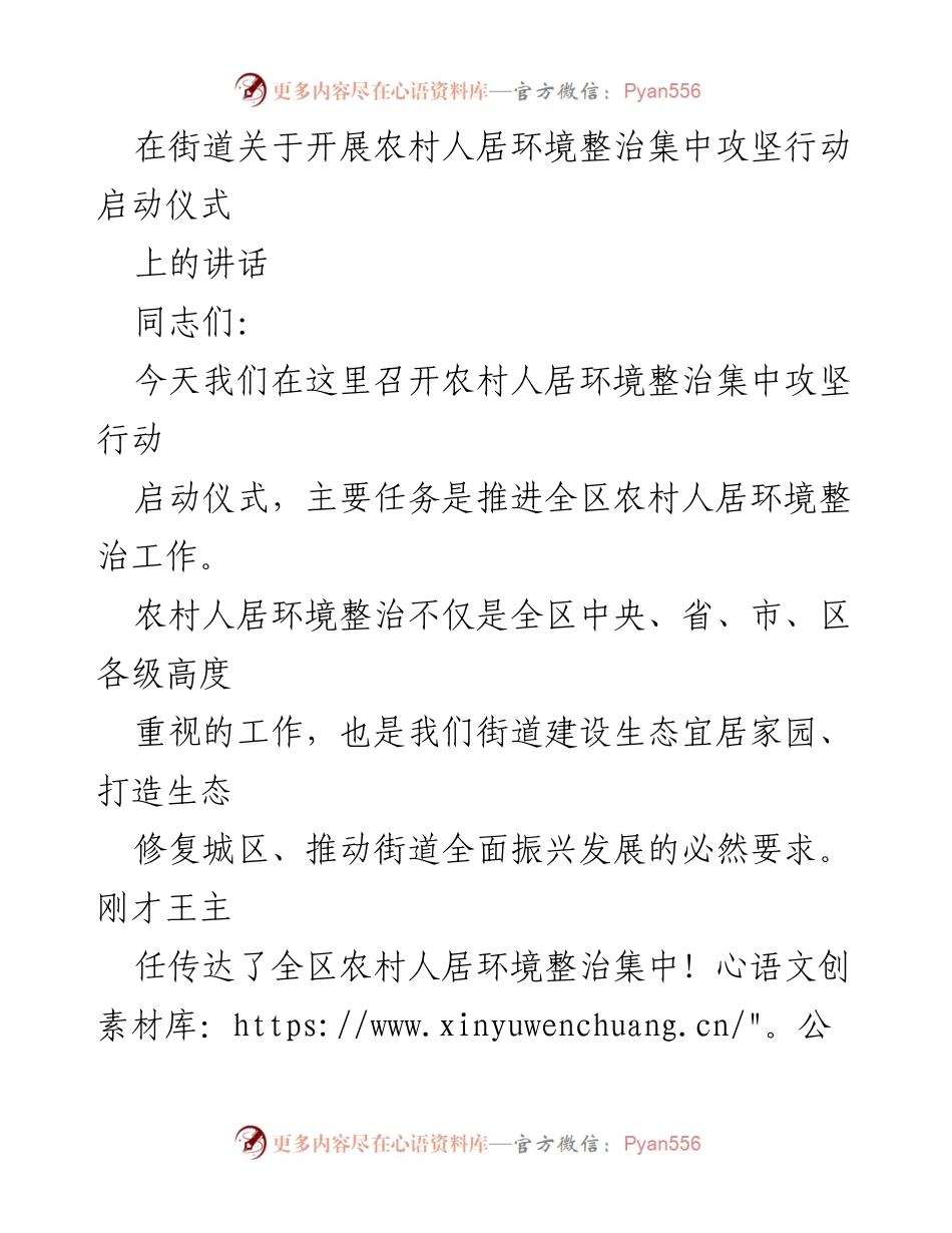 [发言] 启动仪式 - 农村人居环境整治集中攻坚行动的动员与要求.docx_第1页