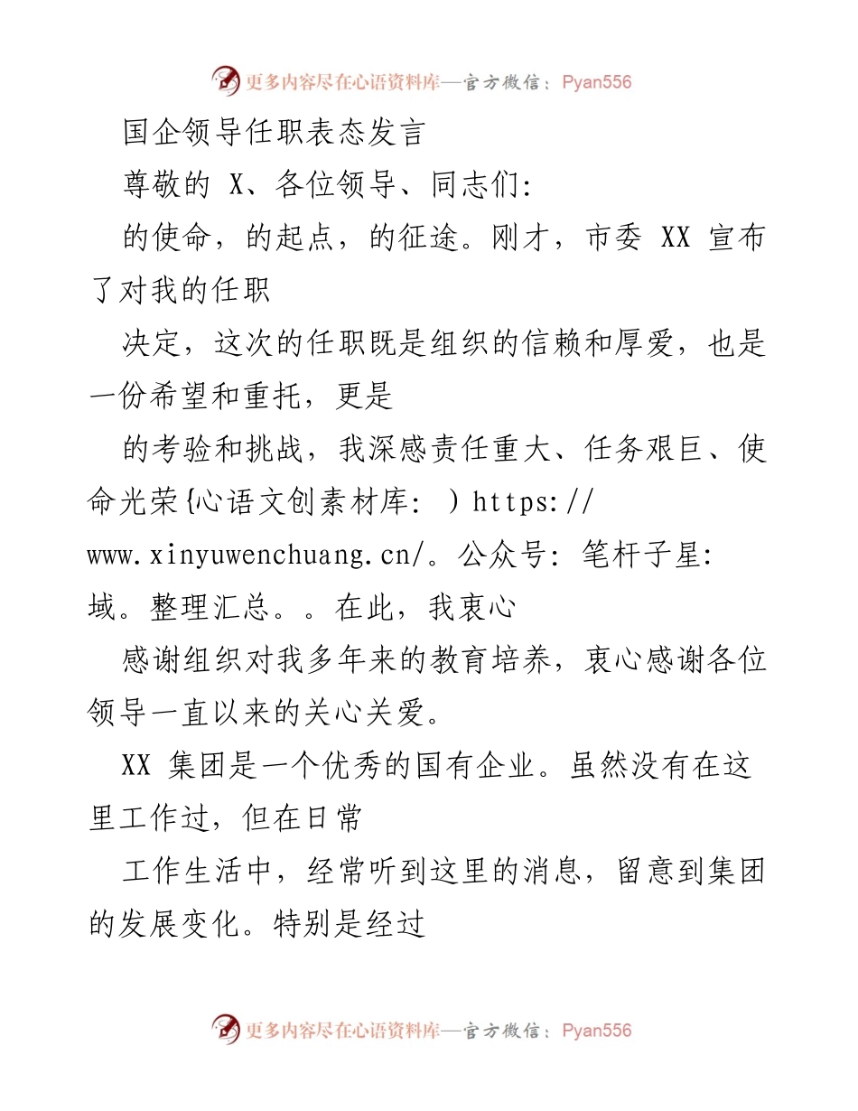 [发言] 国企领导任职 - 新任国企领导的表态发言与发展承诺.docx_第1页