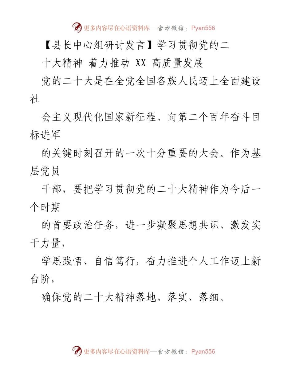 [发言] 县长中心组研讨 - 深入学习党的二十大精神，推动乡村振兴与民生工程实施.docx_第1页