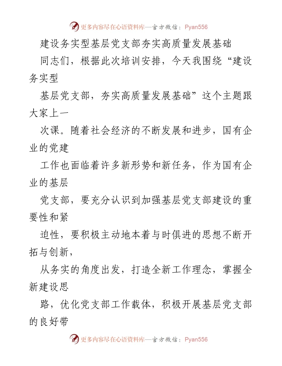 [发言] 培训会议 - 建设务实型基层党支部，推动高质量发展.docx_第1页