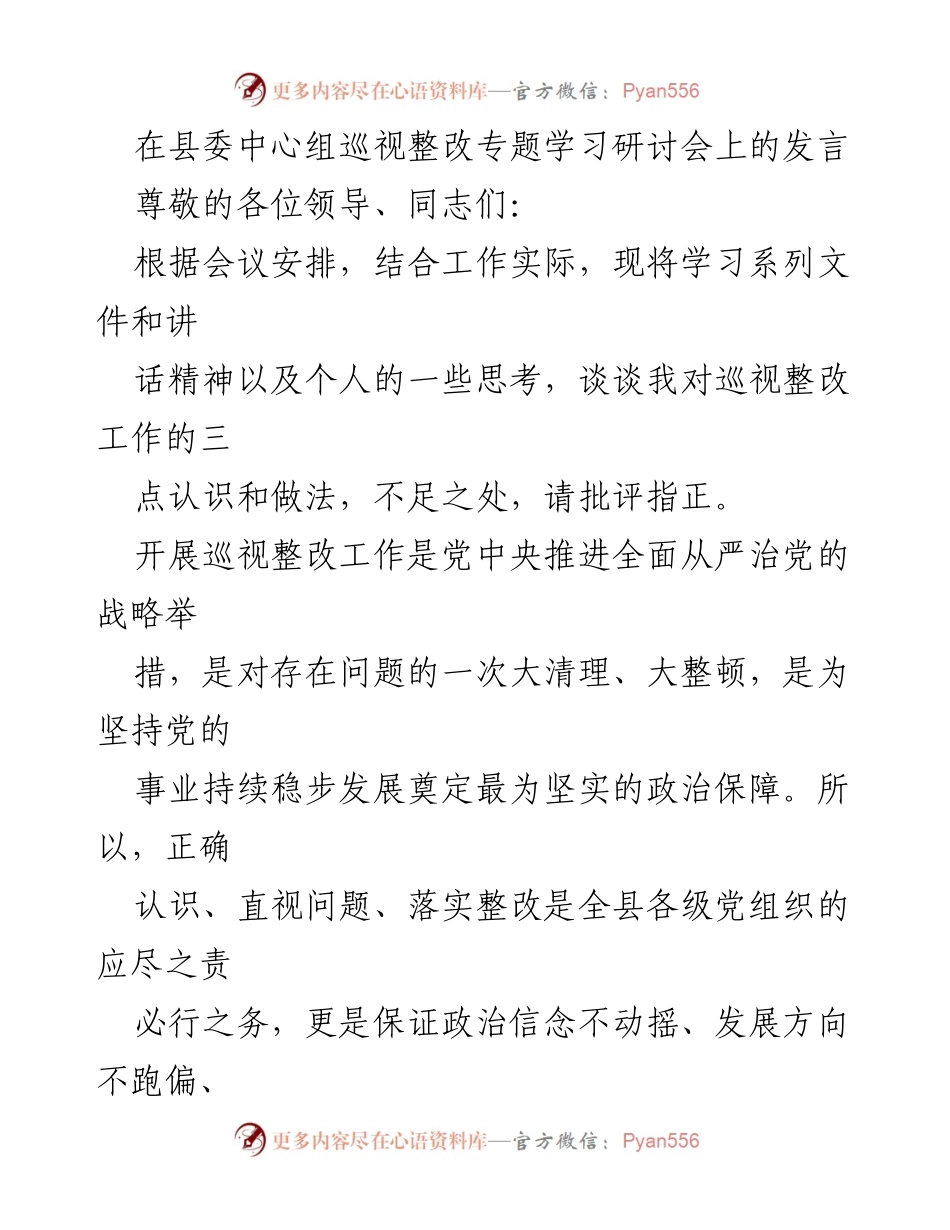 [发言] 县委中心组巡视整改专题学习研讨会 - 深入理解巡视整改的重要性与实践措施.docx_第1页