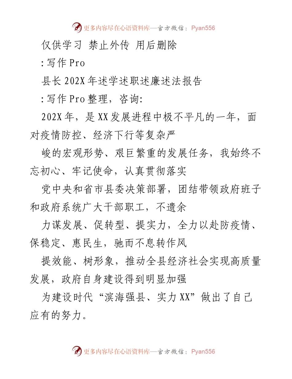 [发言] 县政府工作会议 - 202X年县长述职述廉述法报告.docx_第1页
