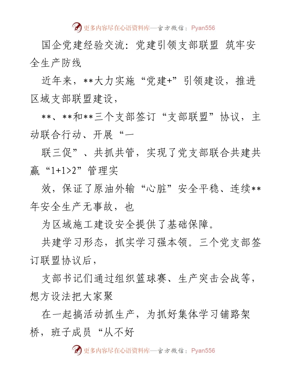 [发言] 国企党建经验交流会 - 党建引领支部联盟，共筑安全生产防线.docx_第1页