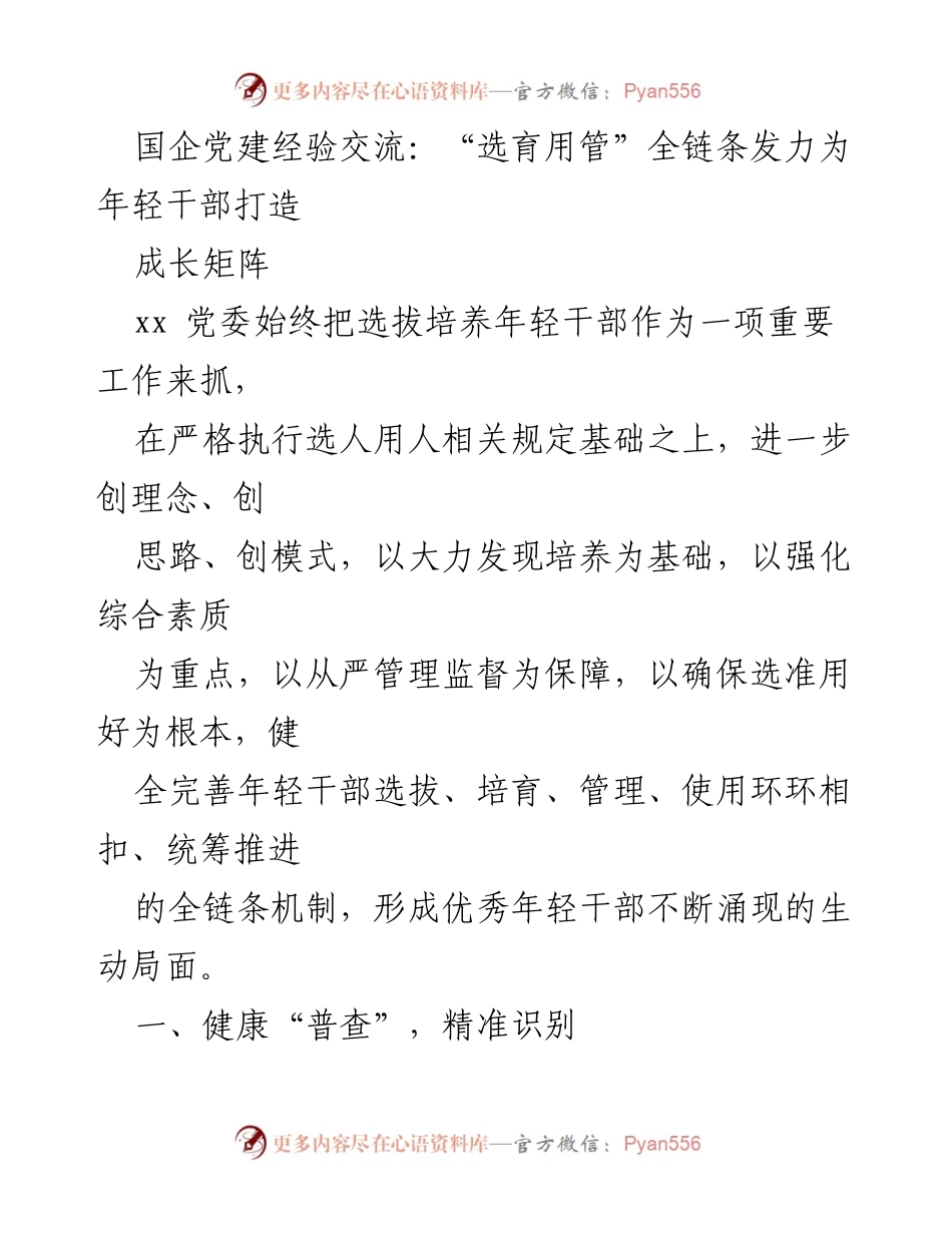 [发言] 国企党建经验交流 - “选育用管”全链条发力，打造年轻干部成长矩阵.docx_第1页