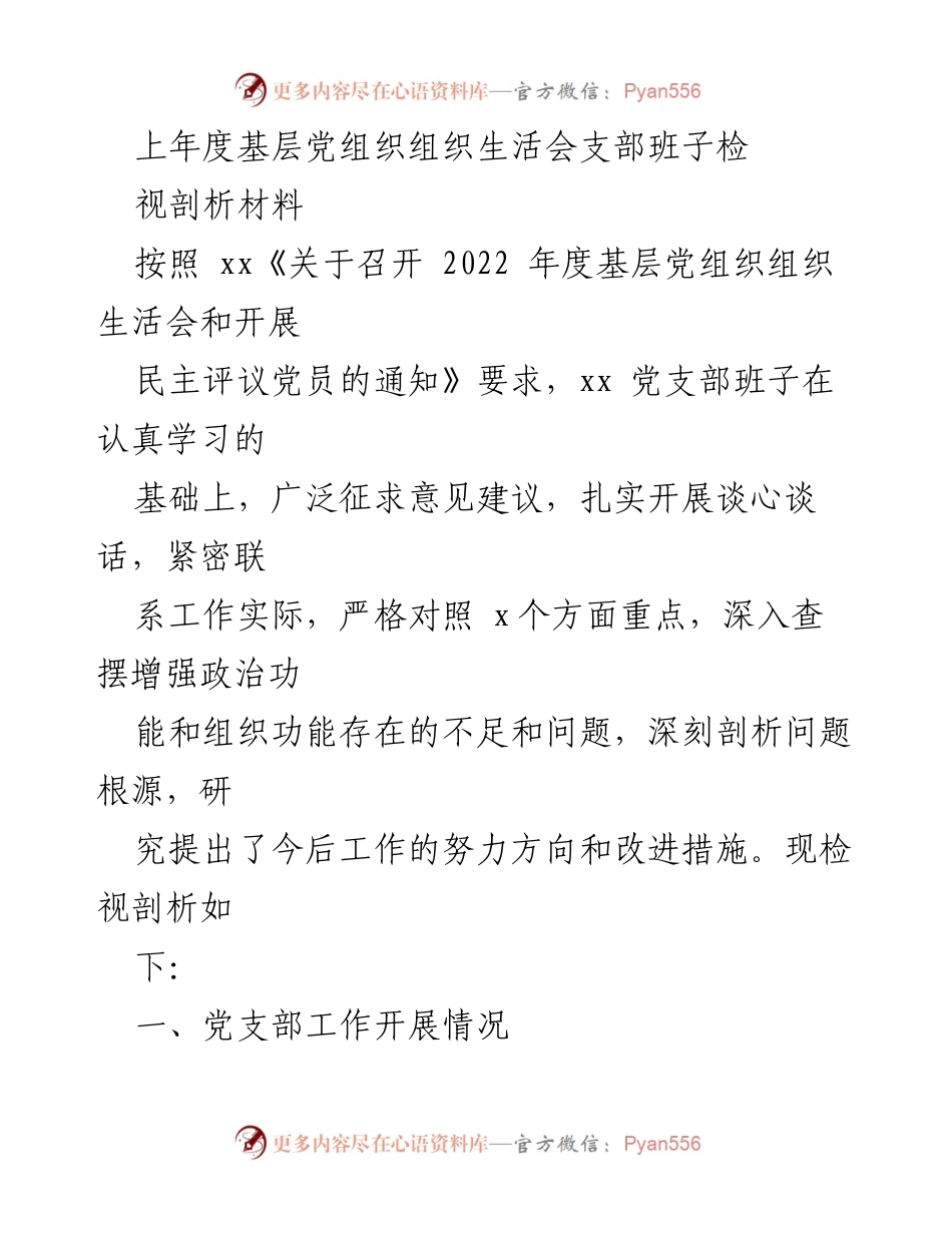[发言] 基层党组织生活会 - 2022年度党支部班子检视剖析总结.docx_第1页