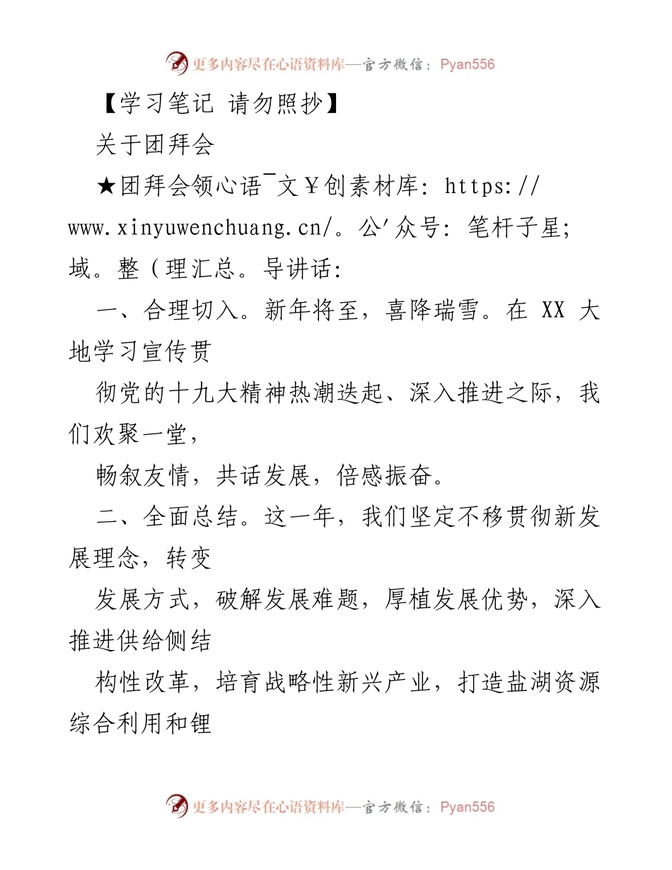 [发言] 团拜会 - 新年团拜会领导讲话总结与展望.docx_第1页