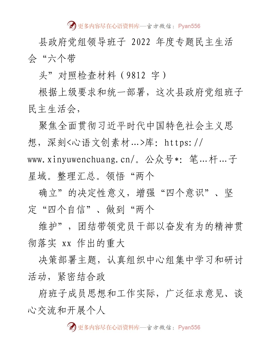 [发言] 县政府党组民主生活会 - 2022年度民主生活会对照检查材料汇报.docx_第1页