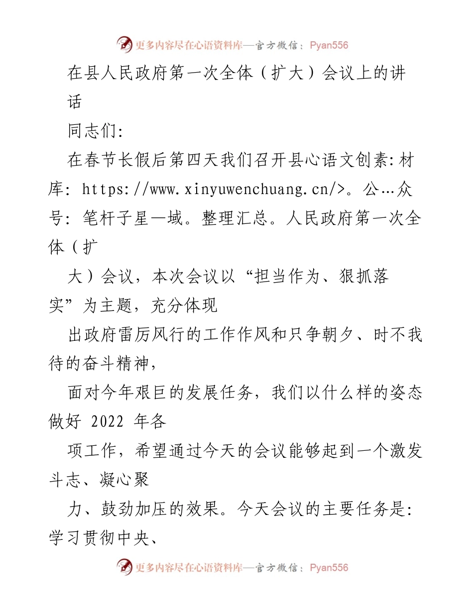 [发言] 县人民政府第一次全体（扩大）会议 - “担当作为、狠抓落实” 主题发言.docx_第1页