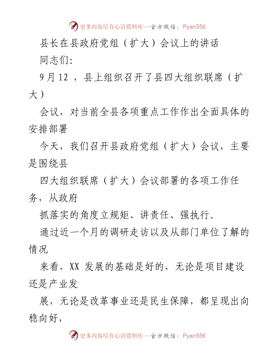 [发言] 县政府党组（扩大）会议 - 强调政府落实责任与执行力的重要性.docx_第1页