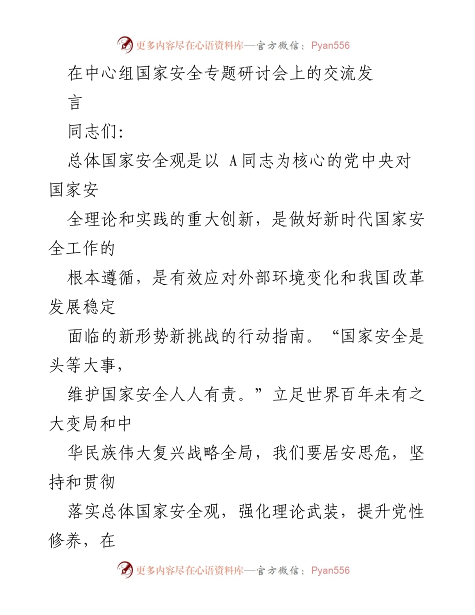 [发言] 国家安全专题研讨会 - 坚持总体国家安全观，维护国家安全的责任与行动.docx_第1页