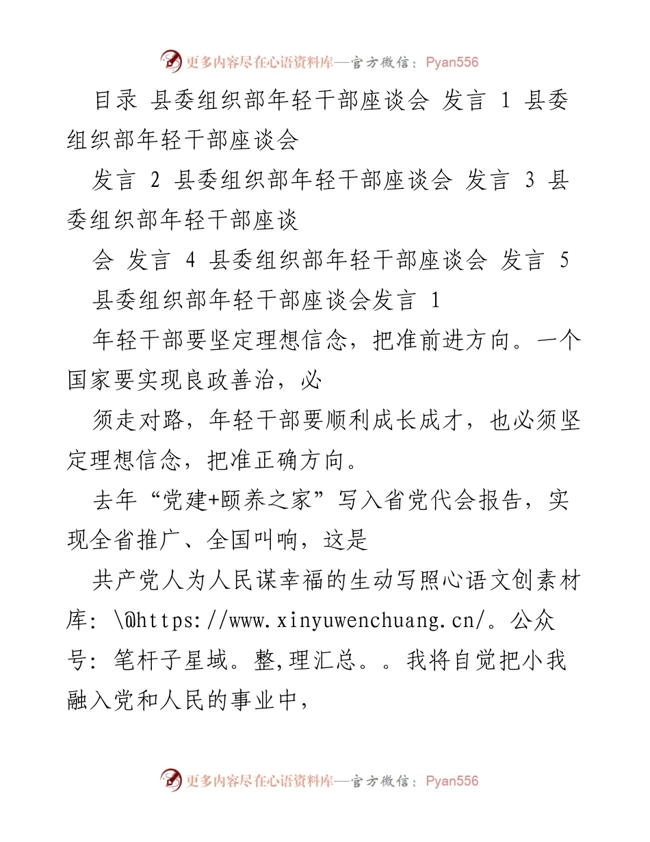 [发言] 县委组织部年轻干部座谈会 - 年轻干部应坚定信念、提升能力与勇于担当.docx_第1页