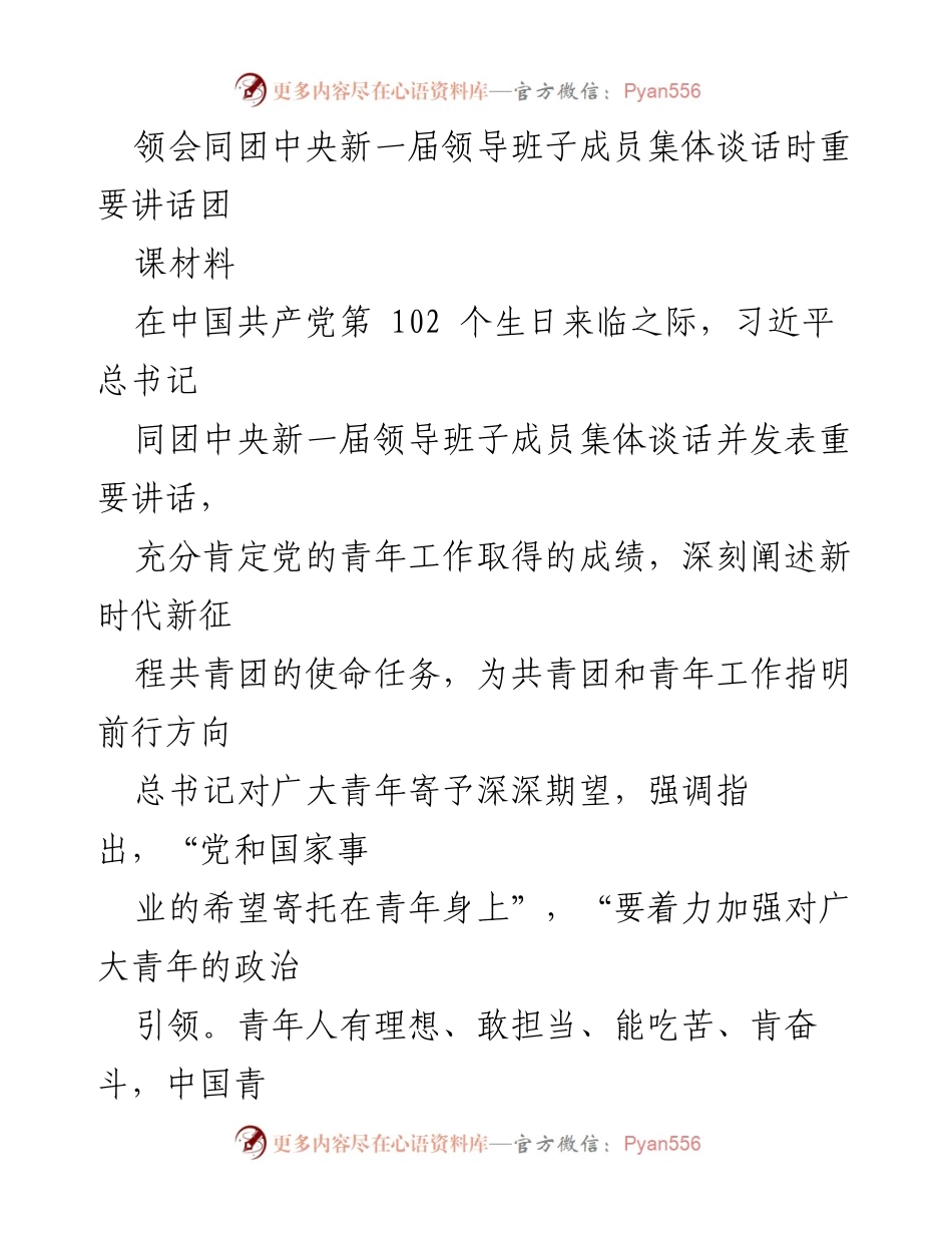 [发言] 团中央领导班子集体谈话 - 新时代青年工作的使命与希望.docx_第1页