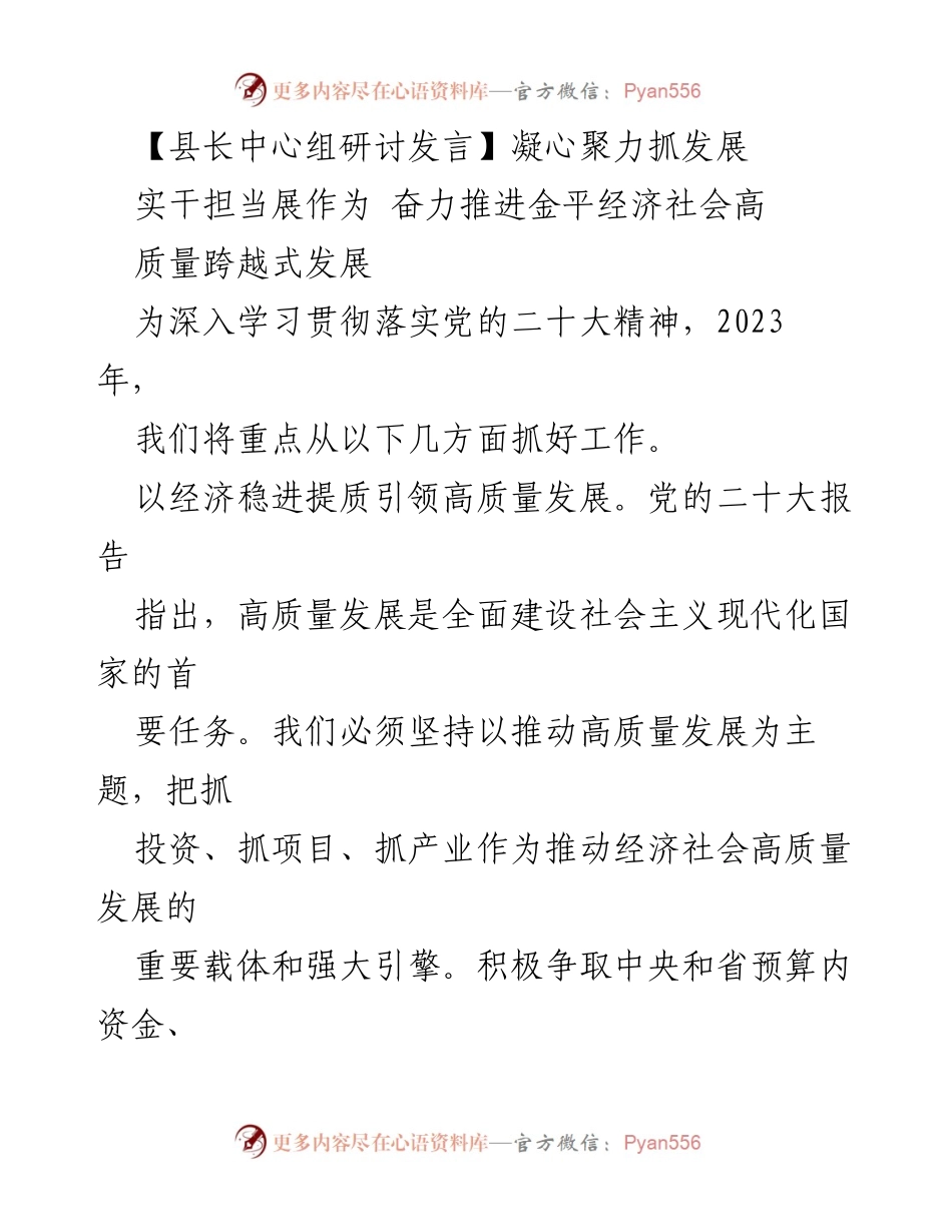 [发言] 县长中心组研讨 - 凝心聚力推动金平经济社会高质量发展.docx_第1页