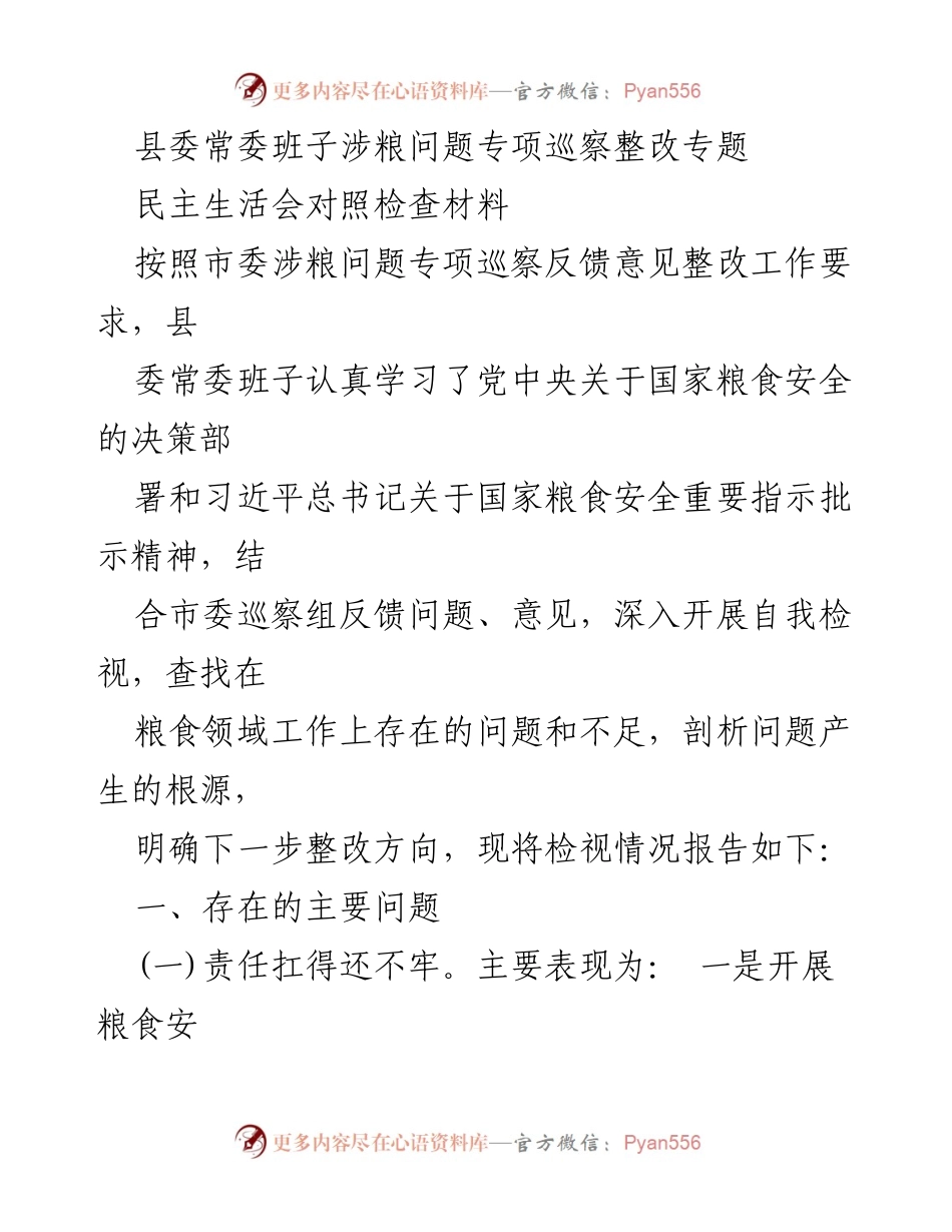 [发言] 县委常委班子民主生活会 - 深入检视粮食安全问题，强化整改责任.docx_第1页