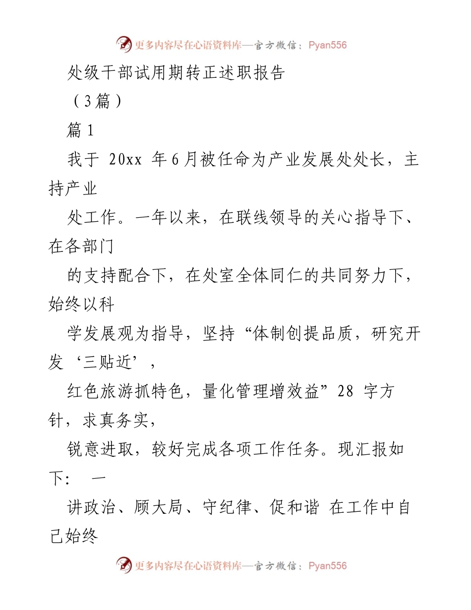 [发言] 处级干部试用期转正 - 产业发展处处长试用期工作述职报告.docx_第1页